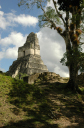 Tikal093
