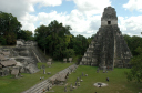 Tikal098